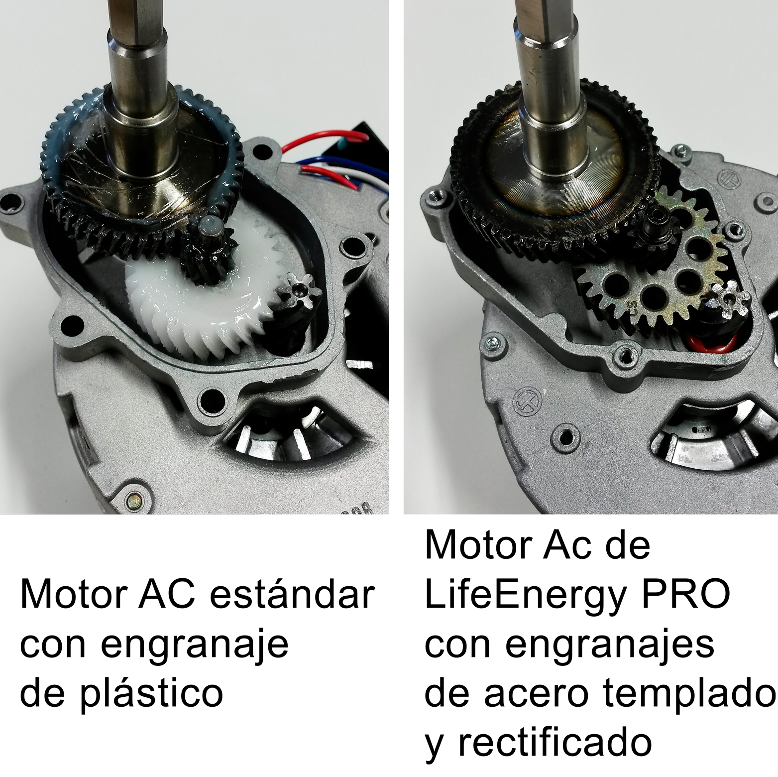 Ingranaggio LifeEnergy Pro - Differenze